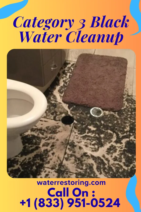 Category 3 Black Water Cleanup in Mifflin, PA