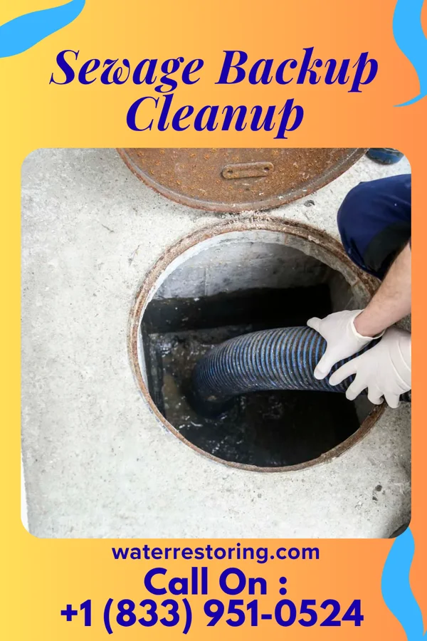 Sewage Backup Cleanup in Mifflin, PA