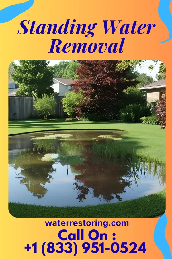 Standing Water Removal in Mifflin, PA